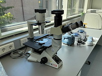 Olympus ckx41 celcultuurmicroscoop - afbeelding 1 van  14