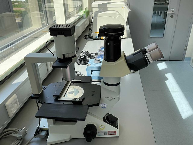 Olympus ckx41 celcultuurmicroscoop - afbeelding 2 van  14