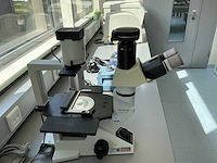Olympus ckx41 celcultuurmicroscoop - afbeelding 2 van  14