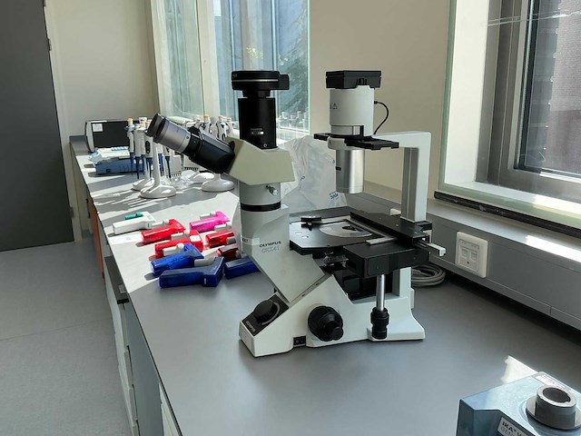 Olympus ckx41 celcultuurmicroscoop - afbeelding 3 van  14