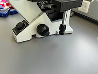 Olympus ckx41 celcultuurmicroscoop - afbeelding 5 van  14