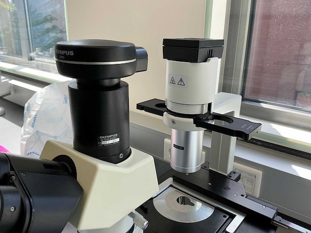 Olympus ckx41 celcultuurmicroscoop - afbeelding 6 van  14