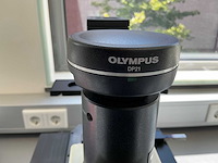 Olympus ckx41 celcultuurmicroscoop - afbeelding 7 van  14