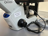 Olympus ckx53sf celcultuurmicroscoop - afbeelding 9 van  12