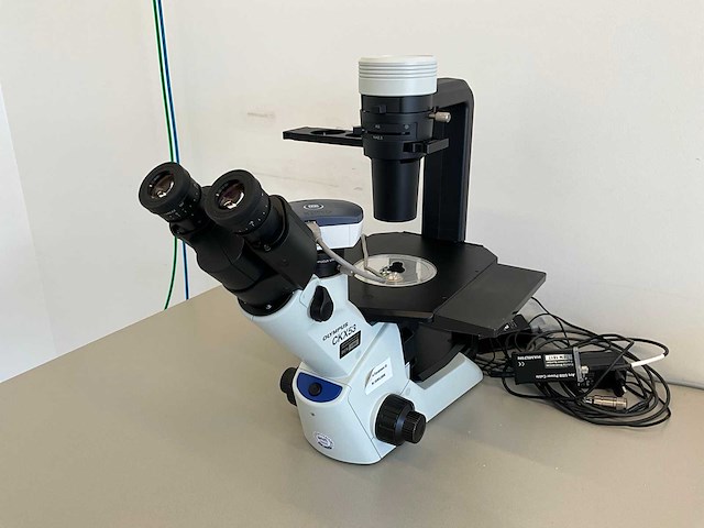 Olympus ckx53sf celcultuurmicroscoop - afbeelding 1 van  10