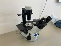 Olympus ckx53sf celcultuurmicroscoop - afbeelding 2 van  10