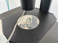 Olympus ckx53sf celcultuurmicroscoop - afbeelding 6 van  10