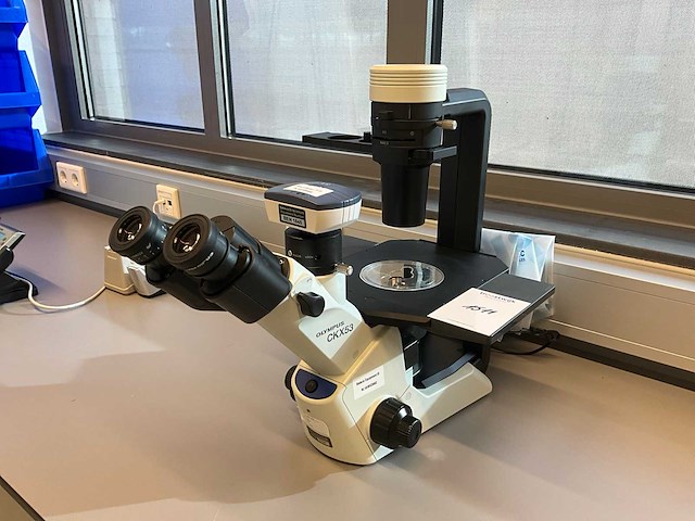 Olympus ckx53sf celcultuurmicroscoop - afbeelding 1 van  11