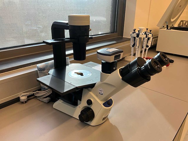 Olympus ckx53sf celcultuurmicroscoop - afbeelding 2 van  11