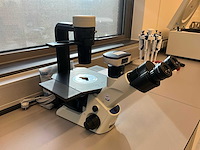 Olympus ckx53sf celcultuurmicroscoop - afbeelding 2 van  11