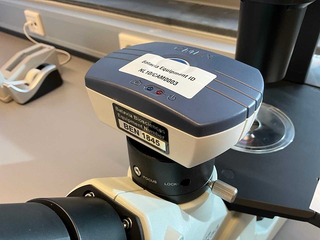 Olympus ckx53sf celcultuurmicroscoop - afbeelding 4 van  11