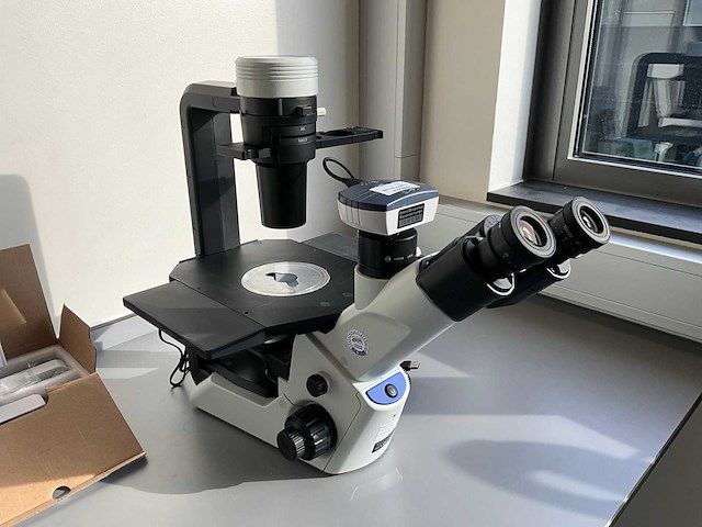 Olympus ckx53sf celcultuurmicroscoop - afbeelding 5 van  12