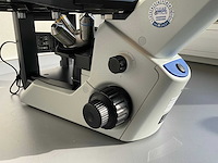 Olympus ckx53sf celcultuurmicroscoop - afbeelding 11 van  12