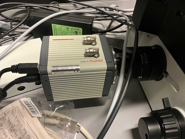 Olympus ix73p2f omgekeerde microscoop - afbeelding 12 van  13
