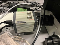 Olympus ix73p2f omgekeerde microscoop - afbeelding 12 van  13