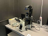 Olympus ix73p2f omgekeerde microscoop - afbeelding 1 van  13