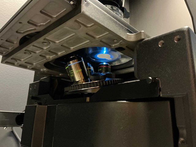 Olympus ix73p2f omgekeerde microscoop - afbeelding 7 van  13
