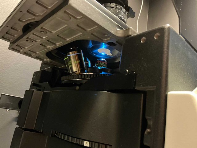Olympus ix73p2f omgekeerde microscoop - afbeelding 9 van  13