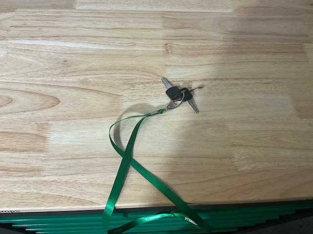 Ongebruikt jungwille jw27l francorchamps gereedschapswagen - afbeelding 2 van  17