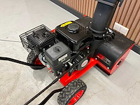 “ongebruikt” tuin en park machines - afbeelding 12 van  19