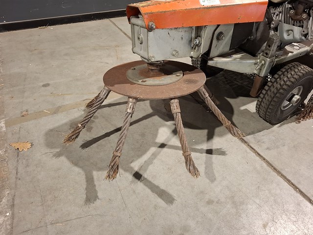 Onkruidborstel, nimos, mug, 2005 - afbeelding 7 van  7