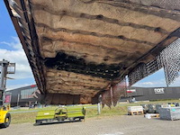 Onkruidbrander - afbeelding 4 van  9