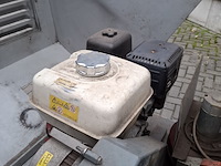 Onkruidstomer, empas - afbeelding 6 van  17