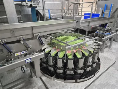 Online veiling productielijnen voor het verwerken, invriezen en verpakken van groenten wegens beëindiging productieactiviteiten oerlemans foods in waalwijk (nl)