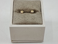 Oorstekers, ster, 14k goud, 585