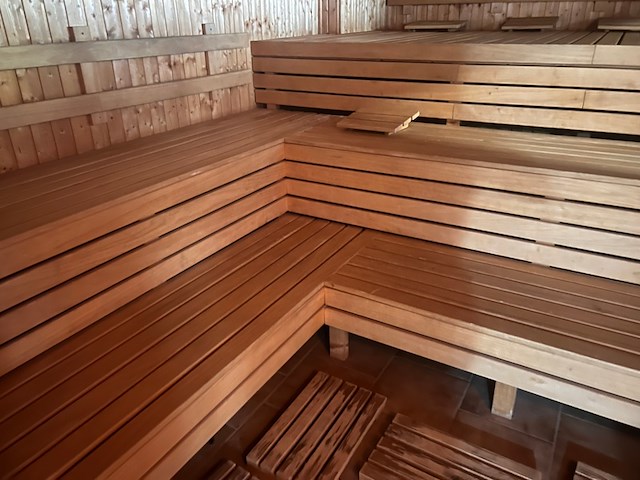 Op gas gestookte finse sauna, 2020 - afbeelding 4 van  12