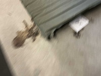 Opblaasbaar matras (9x) - afbeelding 3 van  3