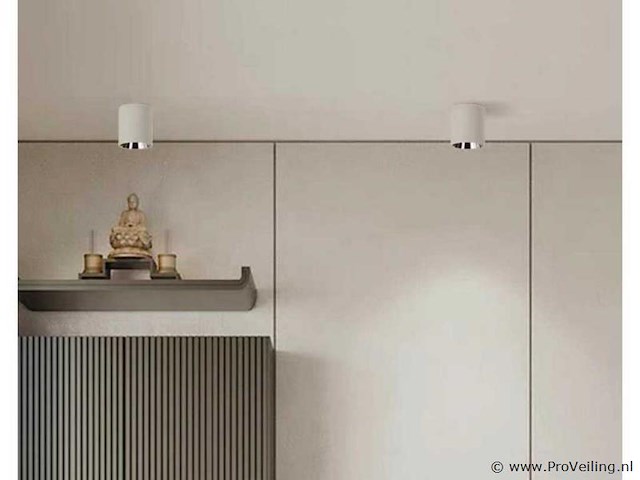 Opbouwarmatuur gu10 fitting– cilindrisch – wit / chroom (x20) - afbeelding 1 van  3