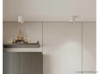 Opbouwarmatuur gu10 fitting– cilindrisch – wit / chroom (x20) - afbeelding 1 van  3