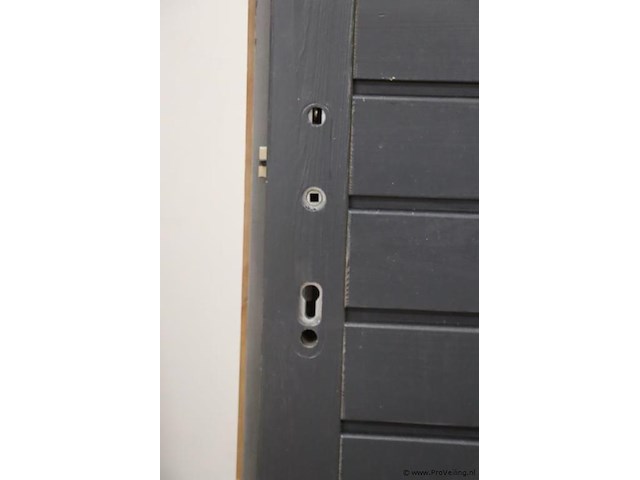 Opdekdeur (demo); afmetingen ca. 103x6x196cm - afbeelding 2 van  7