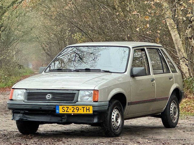 Opel - 1988 - corsa - 1.3n swing - sz-29-th - afbeelding 1 van  14