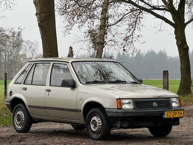 Opel - 1988 - corsa - 1.3n swing - sz-29-th - afbeelding 8 van  14