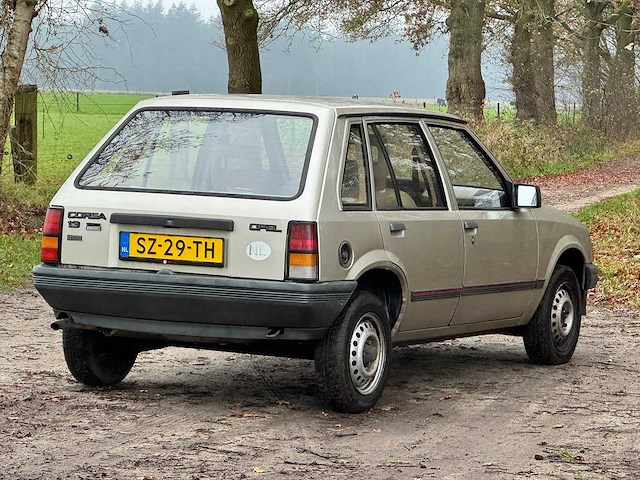 Opel - 1988 - corsa - 1.3n swing - sz-29-th - afbeelding 10 van  14