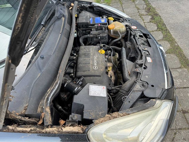Opel - corsa - personenauto - 2012 - afbeelding 15 van  25