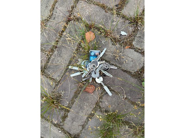 Opel blitz 1.75 t be bolkop 2,5 l55-09590l camper (brandweerwagen) 1955, 61-tb-40 - afbeelding 74 van  79