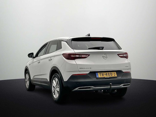 Opel grandland x 1.2 turbo business executive 2018 - afbeelding 10 van  17