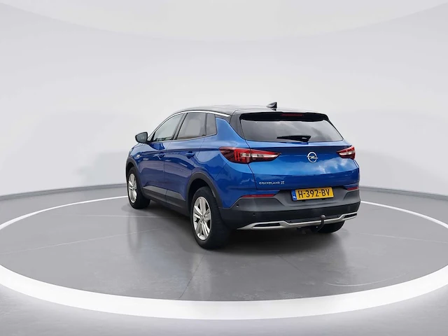 Opel grandland x 1.2 turbo business executive 2019 | h-392-bv - afbeelding 16 van  18