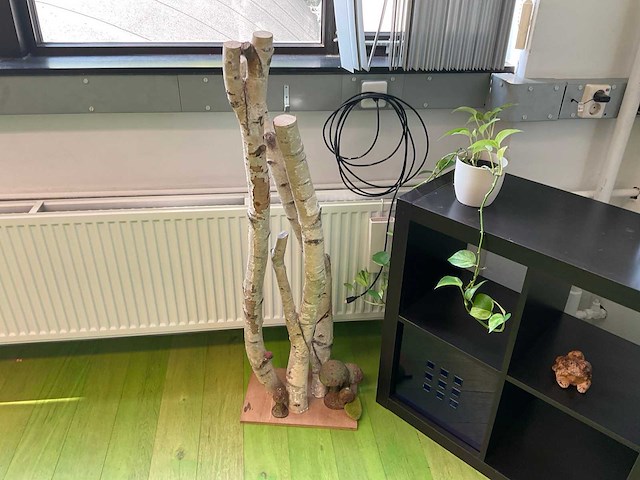 Open kast met decoratie - afbeelding 3 van  6