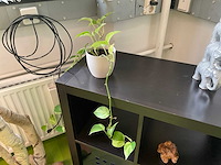 Open kast met decoratie - afbeelding 4 van  6