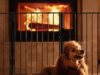 Openhaard rooster 300x76cm - afbeelding 7 van  14