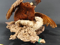 Opgezette fazant en fret - afbeelding 1 van  5