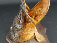 Opgezette snoek - afbeelding 3 van  5