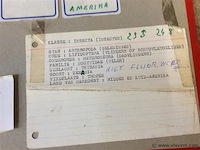 Opgezette vlinder in kader - afbeelding 3 van  3