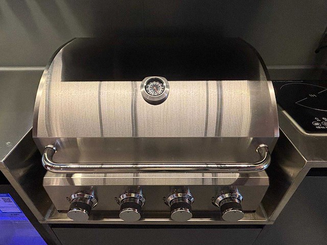 Opklapbare buitenkeuken met afstandsbediening en complete uitrusting - afbeelding 3 van  13