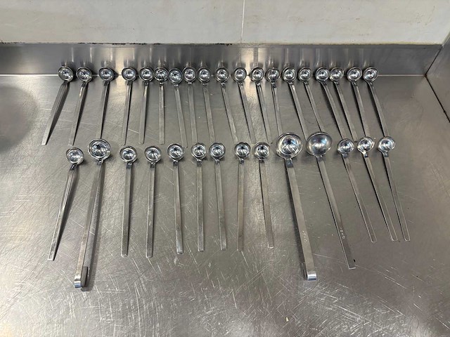 Opscheplepel (32x) - afbeelding 1 van  1