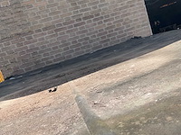 Opslagcontainer 9ft - afbeelding 2 van  2